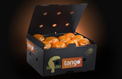 TÜRK TANGO MANDALINASI AVRUPADA